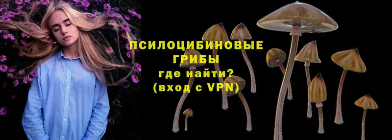 как найти закладки  Усть-Илимск  Галлюциногенные грибы GOLDEN TEACHER 